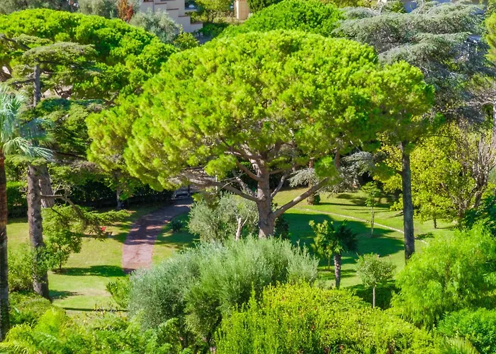 Apartamento Center Sea And Sky Cannes