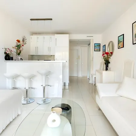 Appartement Center Sea&sky Cannes